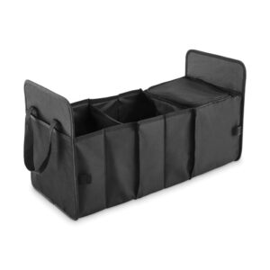 mo2956-03 Auto-Organizer